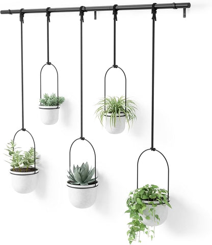 Umbra Triflora Hanging Planter for Window, Indoor Herb Garden, Set of 5, White/Black