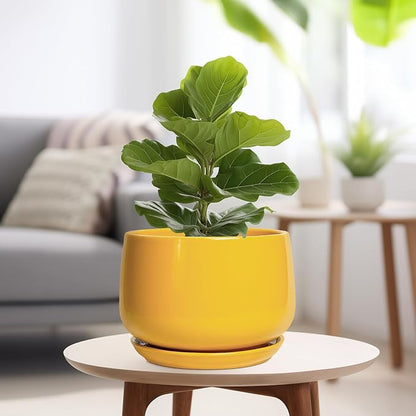 G EPGardening Ceramic Flower Pot - 9 Inch Plant Pots for Indoor Outdoor Plants, Round Ceramic Planter with Drainage and Plant Saucer, Modern Planter, Home Office Decor, Garden Gifts, Yellow