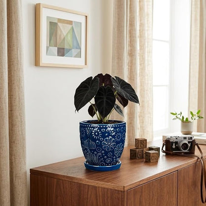 Hollyone 6 Inch Blue Ceramic Planter Flower Plant Pot with Drainage Hole and Saucer for Plants Embossed Indoor Outdoor Garden Embossed Ceramic Glazed Round Pot for Succulent Orchid Mixed Pattern