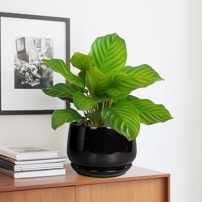 G EPGardening Ceramic Planter 7 Inch - Ceramic Pot for Plants with Drainage and Saucer, Round Plant Pots, Modern Indoor Outdoor Planter, Home Decor, Garden Gifts, Black