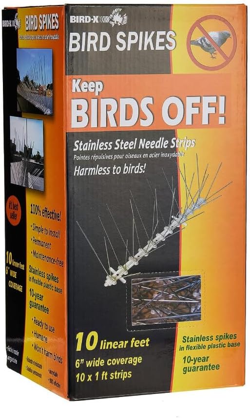 Bird-X Stainless Steel Spikes Stop Bird Roosting Pigeons 6 Inch Wide 10 Ft | Stops Bird Landing, Durable Stainless Steel, Ledges, Sings, Pipes Beams, For Pigeons, Seagulls, Sparrows & more 10 Feet