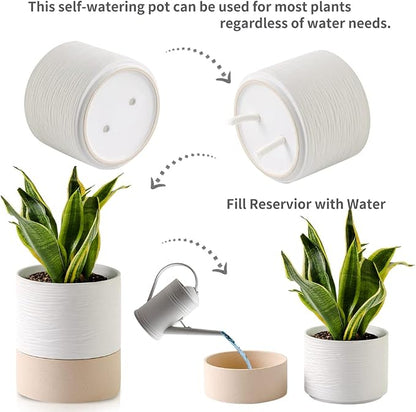 Nihow Ceramic Self Watering Plant Pot for Indoor Plants,6 Inch,White | Planter with Cotton Wick, Drainage Hole & Water Storage Plus, Cylinder Round Flower Pot, For Succulent/Herbs/Violets