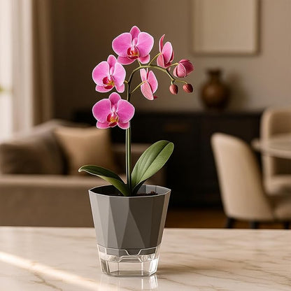 2 Pack Self Watering Plant Pots 8.4" Self Watering Planters for Indoor and Outdoor Plants African Violet Self Watering Clear Pots for Plants Large Herb Orchid Flower Houseplant Pots, Dark Grey