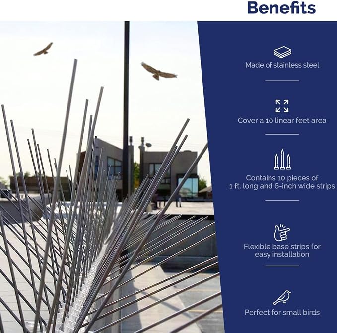 Bird-X Stainless Steel Spikes Stop Bird Roosting Pigeons 6 Inch Wide 10 Ft | Stops Bird Landing, Durable Stainless Steel, Ledges, Sings, Pipes Beams, For Pigeons, Seagulls, Sparrows & more 10 Feet