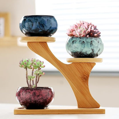 YYW Succulent Pots with Drainage Ceramic Plant Pot Indoor Small Flower Cactus Pots with Tree Tier Bamboo Stand Shallow Planter for Garden Windows Home Office Decor Plant Lovers Gifts