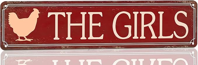 Funny Metal Tin Sign Vintage The Girls Sign For Home, Street, Shop, Garage, Bar, Farm, Garden Wall Decor 16x4 Inches