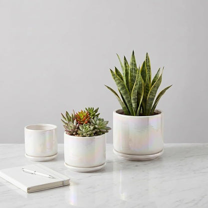 EFISPSS Plant Pots, 4+5+6 Inch Pots for Indoor Plants,Ceramic Planter Pot with Drainage Hole,Flower Pots for Succulent Cactus,Set of 3 - Rainbow Pearl Glaze