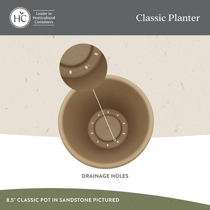 The HC Companies Classic Round Plastic Plant Pot w/Rolled Rim - Lightweight & UV Resistant Flower Pot for Herbs & More - Outdoor & Indoor Plant Pots w/Drainage (8.5 inch Sandstone, Pack of 1)