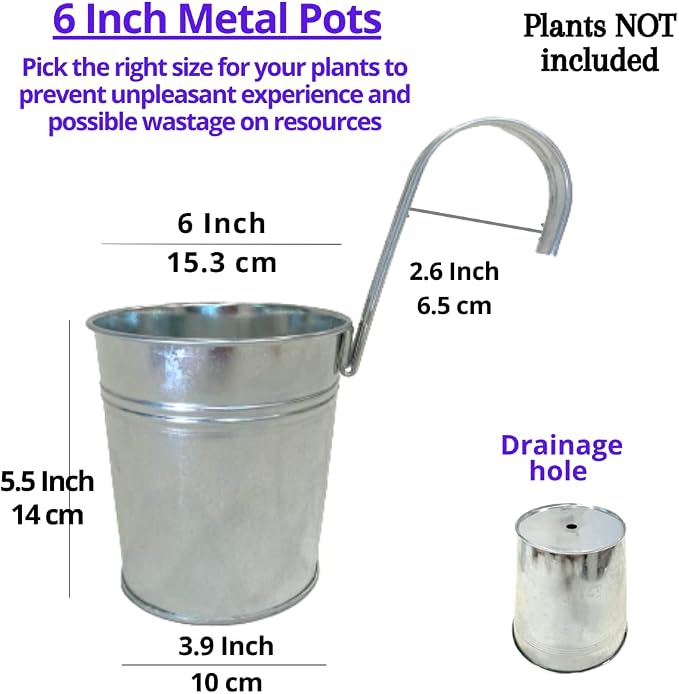 LaLaGreen Rail Planter for Balcony (6 in, 10 Pack) Silver Metal Railing Pot | Rail planters for balcony, apartment, patio, porch, deck, fence, herb, outdoor plants, flower boxes, plant hangers