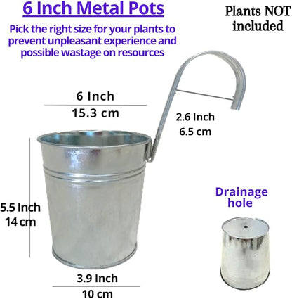 LaLaGreen Rail Planter for Balcony (6 in, 10 Pack) Silver Metal Railing Pot | Rail planters for balcony, apartment, patio, porch, deck, fence, herb, outdoor plants, flower boxes, plant hangers