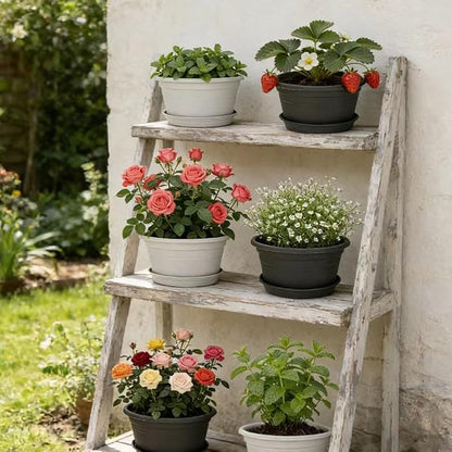 MRPAPA 4Pack Round Plastic Pots for Plants, Outdoor Planters with Drainage Hole & Tray Saucer, Decoration Large Flower Pots for Indoor Outdoor Garden Home Plants (4, Dark Gray, 13 Inch)
