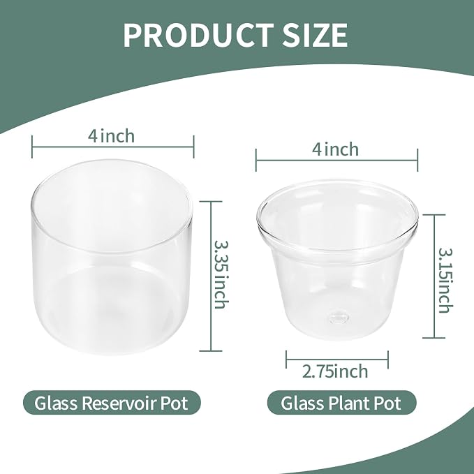 4 Inch Self Watering Pot,African Violet Pot,Bottom Watering Glass Planter for Indoor Plants and Progagation