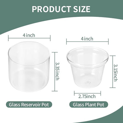 4 Inch Self Watering Pot,African Violet Pot,Bottom Watering Glass Planter for Indoor Plants and Progagation