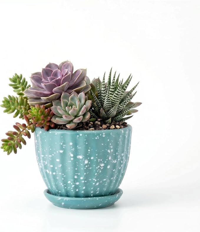 4 Inch Ceramic Indoor Succulent Plant Pots with Drainage Holes and Saucers, Bonsai Planter for Succulent, Cactus, Small Flowers (Green)