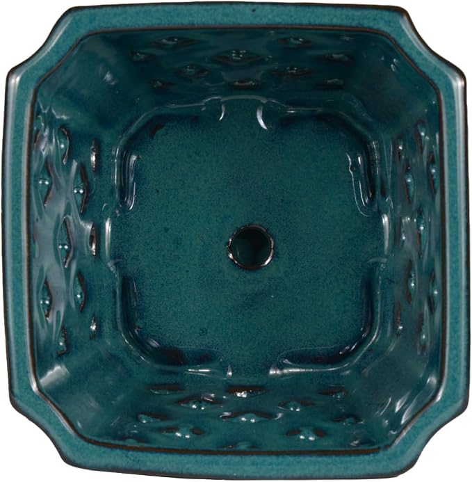 W&W Orchid Pot with Holes and Saucer for Repotting and Better Grow, Teal, 7"