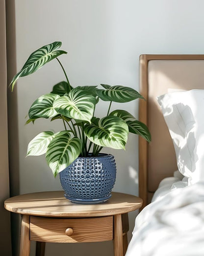 Oairse Ceramic Pot for Indoor Plants, 7 inch Plant Pot with Drainage Hole and Saucer Decorative Blue Planter with Saucer Indoor Outdoor Flower Pots for Succulent Snake Plant Pothos Orchid