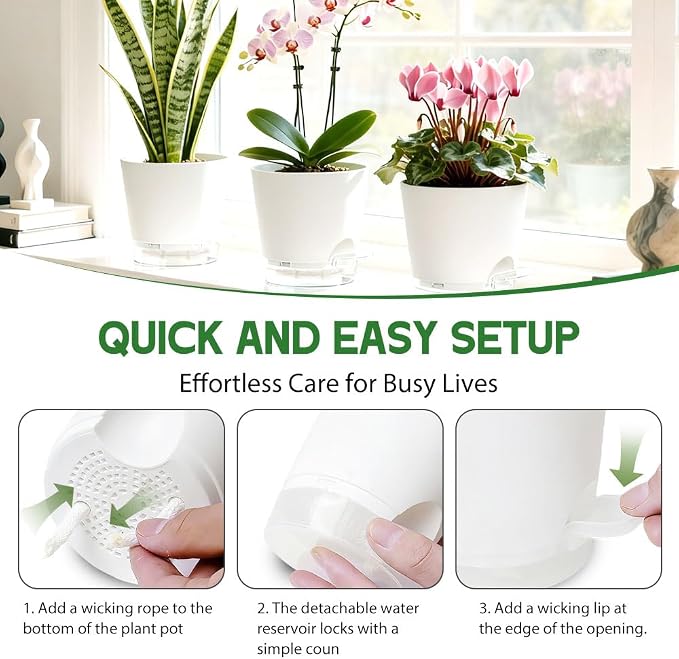 Self Watering Pots for Plants, 2026 New Flower Plant Pots with Drainage Holes, Wicking and Clear Reservoirs for Succulent, Aloe, Cacti and Others - 6 Pack (White, 5")
