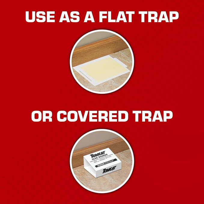 Tomcat Glue Boards with Eugenol for Enhanced Stickiness, 4 Boards | Sticky Traps for Mice, Cockroaches & Insects, Flat or Covered Use, Ready-To-Use