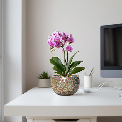 Ceramic Plant Pots - 6 Inch Plant Pot with Drainage Hole and Plug, Unique Planter for Indoor Plants Outdoor, Modern Planter, Round Orchid Pot, Room Decor, House Warming Gifts, Speckled-brown