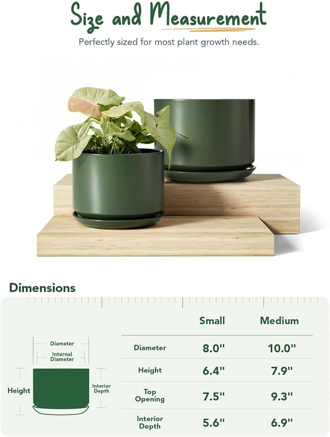 LE TAUCI Ceramic Plant Pots, Set of 2, 8+10 Inch Plant Pots Indoor with Drainage Hole & Saucer, Sturdy Planters for Indoor Plants, Modern Minimalist Decor for Snake Plant, Monstera, Green