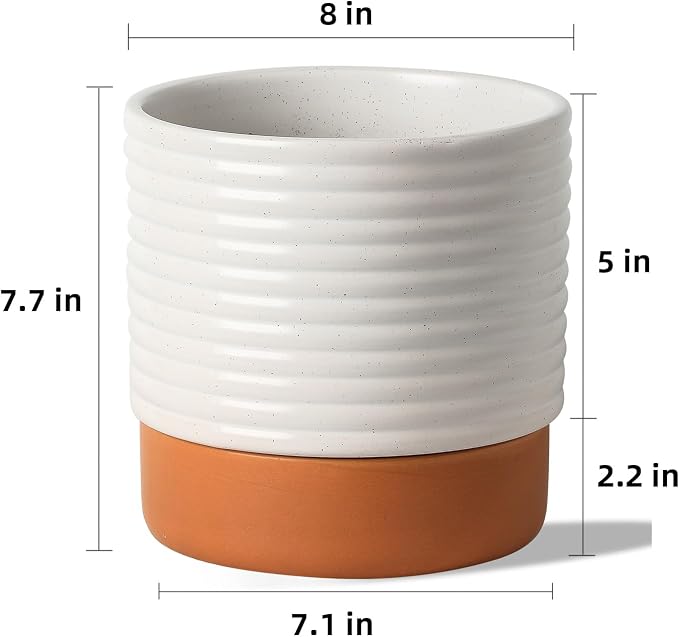 Self Watering Plant Pot : 8 Inch Ceramic Planter with Drainage Hole & Water Storage Plus - Flowerpot for Indoor & Outdoor Plants (Cream White & Red-Brown)