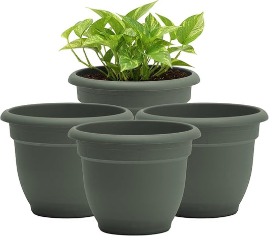 Bloem Ariana 8" Plastic Self-Watering Planter, Basil, 4-Pack | Self-watering disk at the bottom of each pot that acts as a water wick and reservoir for optimal plant health