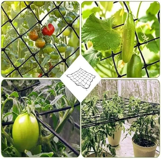2 Pack Scrog net 4x4 FT Trellis Net for Grow Tent Elastic Net with 8 Hooks for Indoor Plant Growing Tents Garden Plant Climbing Plants Support Each Mesh 36 Cell 5.9" Mesh
