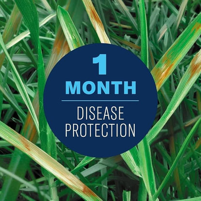 BioAdvanced Fungus Control for Lawns - Ready-to-Spray - Cures and Prevents Lawn Diseases - Up to 1 Month Protection - Covers 5,000 Square Feet - 32 fl oz Bottle