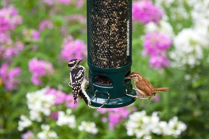 Squirrel Buster Legacy Squirrel-Proof Bird Feeder for Wild Birds – 4 Metal Removable Perches, 2.6 lb Seed Capacity, Chew-Proof Design, Easy to Clean, Green | 2.6 Lb Capacity, 4 Metal Perches and Ports, Weight-Adjustable Squirrel-Proof Shroud, Chew-Proo...
