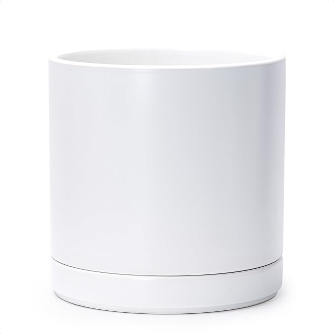 D'vine Dev 10 Inch Ceramic Planter Pot with Drainage Hole and Saucer, Indoor Cylinder Round Planter Pot, White, 94-O-E-1