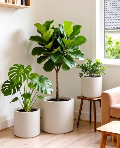 homenote Flower Pots 13.2/10.5/8.5 Inch,Large Plant Pots Indoor with Drainage,Plastic Pots for Plants,Garden Pots for Outdoor,Large Planters for Indoor Plants,Big Plastic Planter,White(3 Pcs)