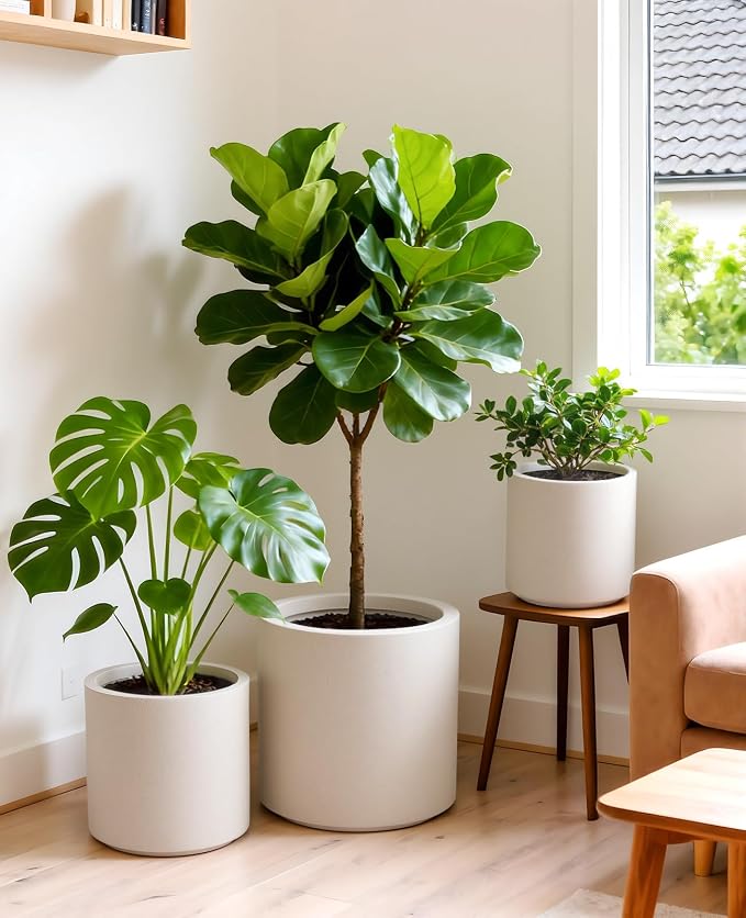homenote Flower Pots 13.2/10.5/8.5 Inch,Large Plant Pots Indoor with Drainage,Plastic Pots for Plants,Garden Pots for Outdoor,Large Planters for Indoor Plants,Big Plastic Planter,White(3 Pcs)