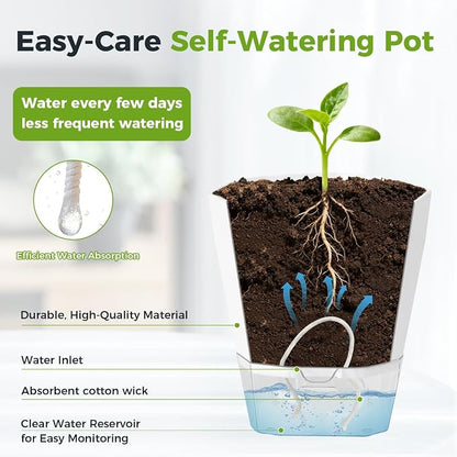 10 Pack Self Watering Pots for Indoor Plants, 6.7 Inches Self Watering Planters African Violet Pots Clear Pots for Herb Orchid Flower Houseplant, White