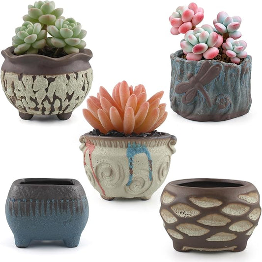 Ceramic Garden Pots Succulent Plant Planter Container with Drainage Set of 5 Small for Home Office Decor