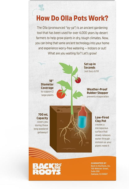 Back to the Roots Self-Watering Terracotta Olla Pot (Pack of 3), 700mL Provides 1 Week of Precision Watering