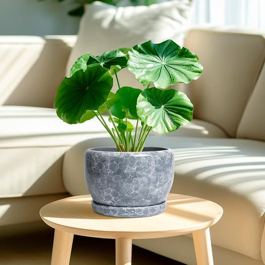 SQOWL 8 inch Plant pots Indoor - Ceramic Planter with Drainage Hole and Plant Saucer, Decorative Ceramic Flower Pot Outdoor, Modern Round Planter, Patio Porch Garden Decor, Garden Gifts, Gray