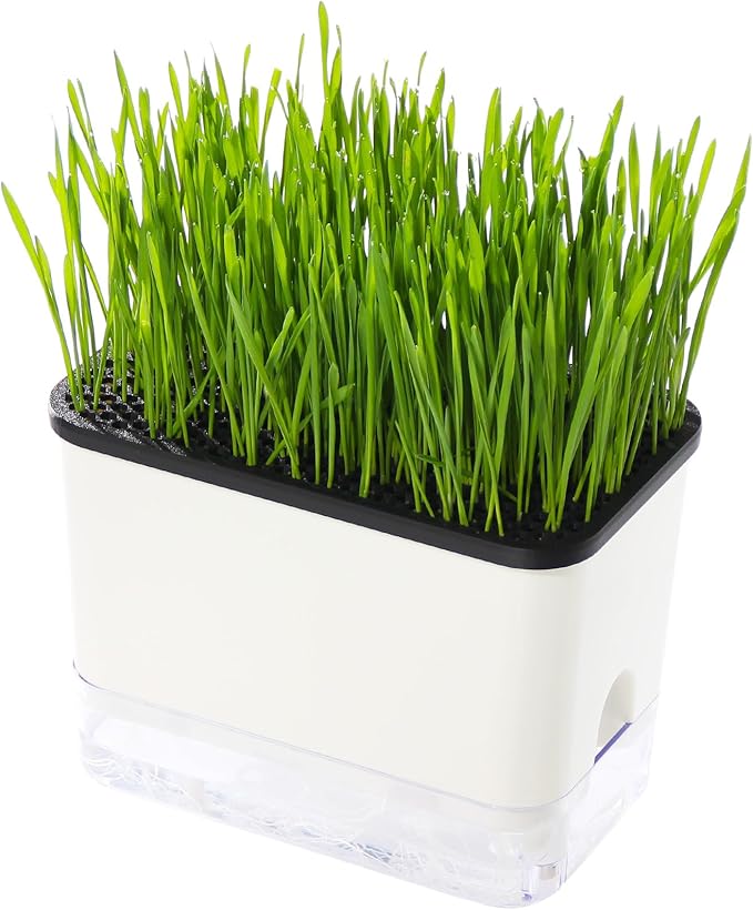 Self-Watering Cat Grass Planter (no Seeds Included) for Indoor Cats | Anti-Digging Design, Built-in Drainage Holes, Suitable for Various Soils, Wheat Grass Growing Pot for Cats Rabbits Pets