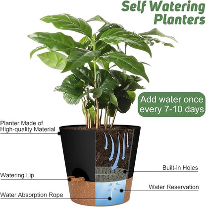 YNNICO 10-Inch Plant Pots, Self-Watering Planters with Drainage Holes & Saucers for Indoor and Outdoor Plants (2-Pack, Black)