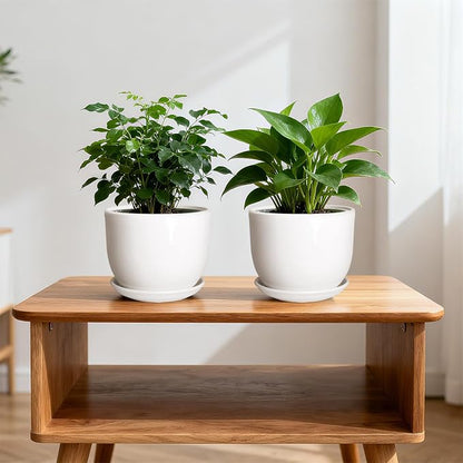 Ceramic Plant Pots,White 6.7 Inch Flower Pots for Plants,Ceramic Planter with Drainage Holes,Indoor Planter Pots with Saucer,Outdoor Garden Pots (White, 2 Pack)