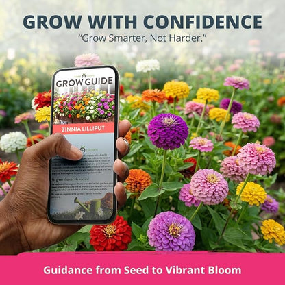 HOME GROWN Zinnia Lilliput Mix Flower Seeds for Planting Spring 2026 – 2500 Seeds (2g) Zinnia elegans – Colorful Zinnia Seed Mix for Garden Beds, Containers & Cut Flowers, Easy Grow Zinnia Seeds