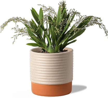 8 Inch Ceramic Self Watering Planter with Drainage Hole, Beige | Indoor Plant Pot with Water Storage Plus - for African Violet, Herbs & Pothos - Home & Office Decor, Cylinder Round