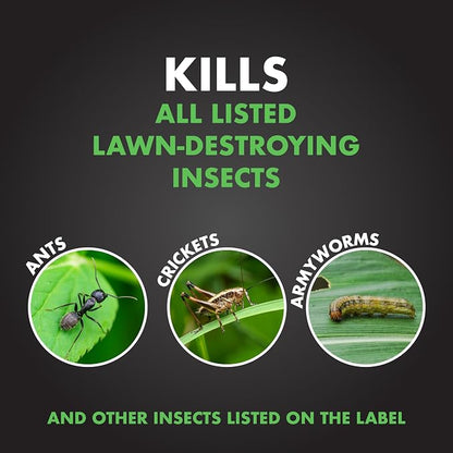 Spectracide Triazicide Insect Killer For Lawns, 10 Pounds, Granules Kill Listed Lawn-Damaging Insects, 4 Pack
