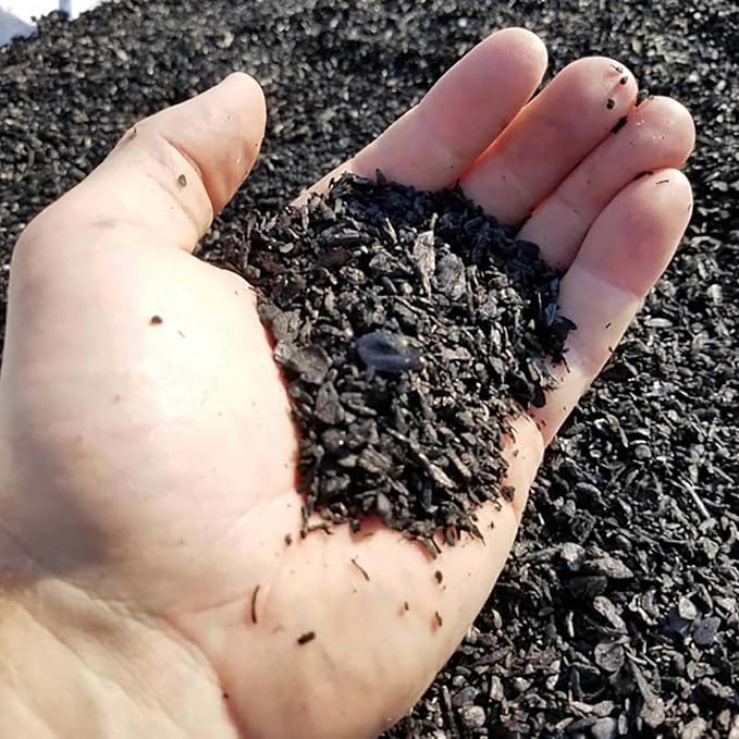 Char Bliss (1 Qt) - Organic Biochar Soil Amendment for Plants & Gardening | OMRI-Listed BioChar Plant Charcoal - Charcoal for Plants, Potting Soil, & Fertilizer - Horticultural Charcoal Alternative