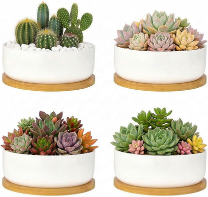 ZOUTOG Succulent Pots,6 Inch Succulent Planters with Drainage and Tray,White Ceramic Planters for Indoor Plants,Round Flower Plant Pots,Pack of 4
