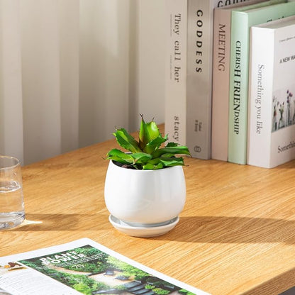 vancasso 3-Pack Ceramic Plant Pots, 3.7/4.8/6.2 Inch Indoor Planters with Saucers & Drainage Hole Planter pots for Indoor Plants and Flower, White