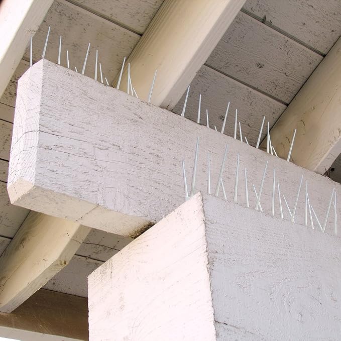 Bird B Gone - EnviroSpike Plastic Anti Bird Spikes (10' Kit) - Humane Deterrent - Stops Pigeons & Birds from Roosting - UV-Stabilized Polycarbonate - for Rooftops, Ledges, Fences, Etc - Made in USA