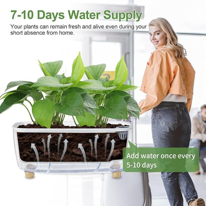 Oliz Self-Watering Planter with Coco Coir, Clear Modern Rectangular Pot | 11.8 * 4.6 inch, Decorative Flower Pot for Indoor Plants, Windowsill Plant Pot with Drainage Holes, African Violets Pots
