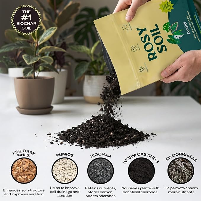 Rosy Soil Aroid Soil Mix, Chunky Biochar Potting Mix, 4 Quarts | For Monstera, Philodendron, Anthurium & Tropical Plants - Peat-Free, Microbially Active, Superior Aeration & Drainage