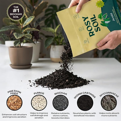 Rosy Soil Aroid Soil Mix, Chunky Biochar Potting Mix, 4 Quarts | For Monstera, Philodendron, Anthurium & Tropical Plants - Peat-Free, Microbially Active, Superior Aeration & Drainage