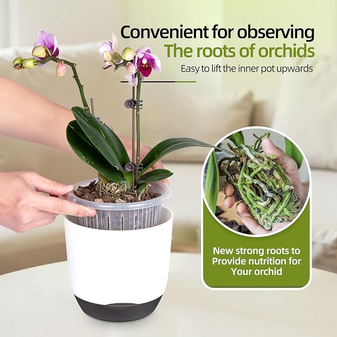 5.7Inch White Orchid Pots with Holes for Repotting, Double-Layer Plastic Self Watering Flower Pots for Indoor Plants with Drainage Holes, Clear Orchid Pot Match Decorative Orchid Container, 3 Packs